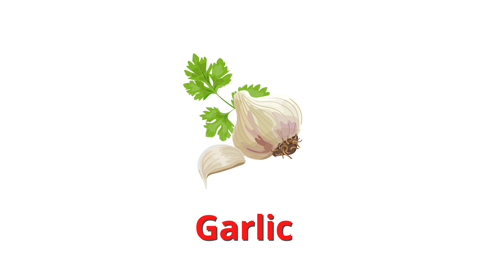 garlic