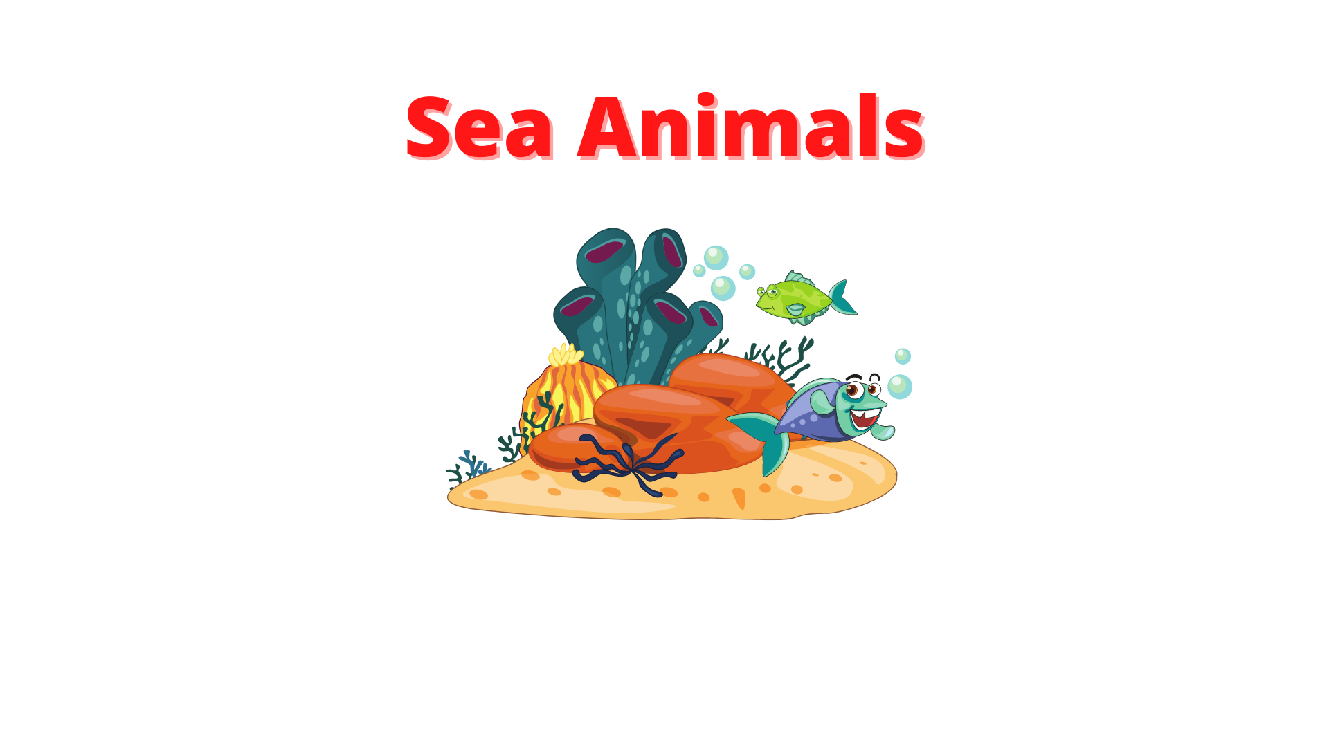 Sea Animals