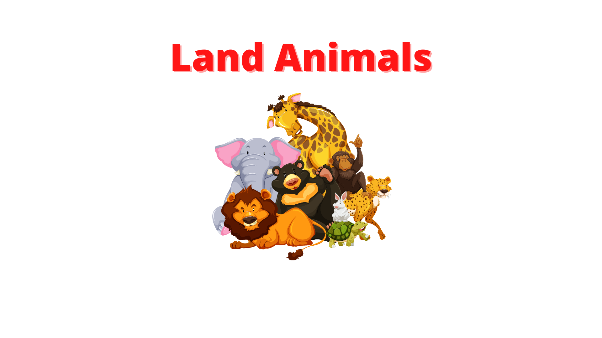 Land Animals