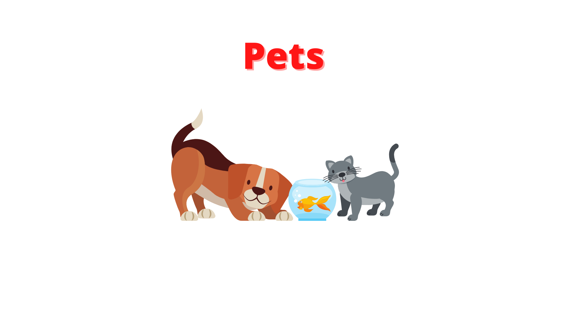 Pets